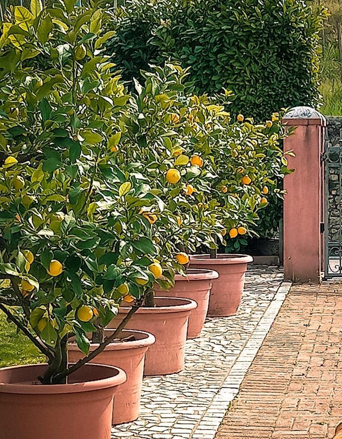 Casa Vacanze Monte Villa Pieve di Soligo Exteriér fotografie