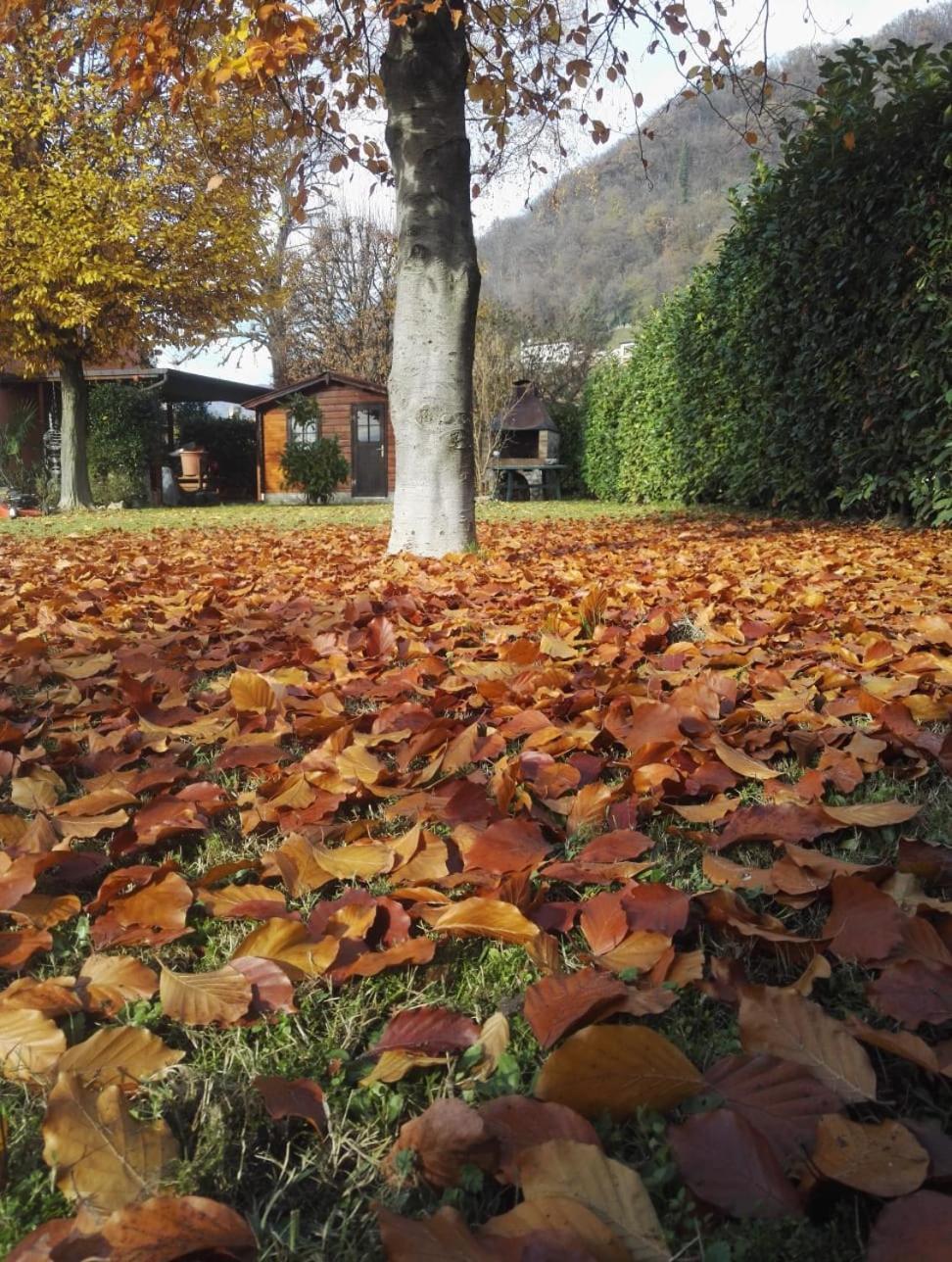 Casa Vacanze Monte Villa Pieve di Soligo Exteriér fotografie